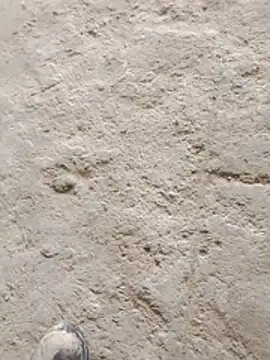 Snapshot of Paugostoso270515 chatting on March 24, 2026, 4:12 pm Paugostoso270515 online show from March 24, 2026, 4:12 pm