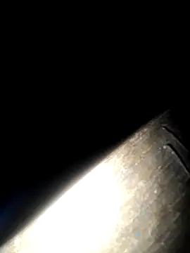 mortty 10 online show from November 26, 2025, 5:19 am