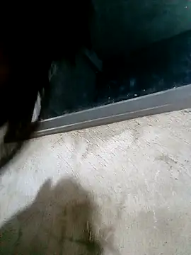 Snapshot of Ava-120 chatting on February 17, 2026, 3:08 pm Ava-120 online show from February 17, 2026, 3:08 pm