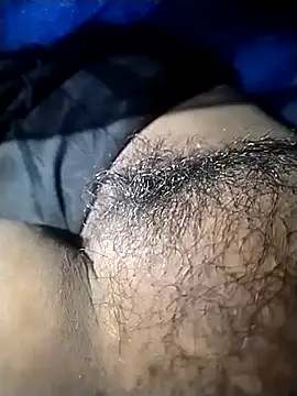 leelavathi-telugu online show from April 3, 2026, 8:40 pm