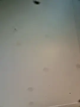 Hardwarelane67 online show from March 23, 2026, 12:09 pm