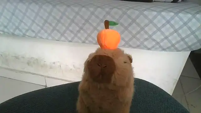 Satanatrix online show from February 9, 2026, 1:04 pm