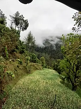 Cute Lucky online show from April 8, 2026, 6:57 am