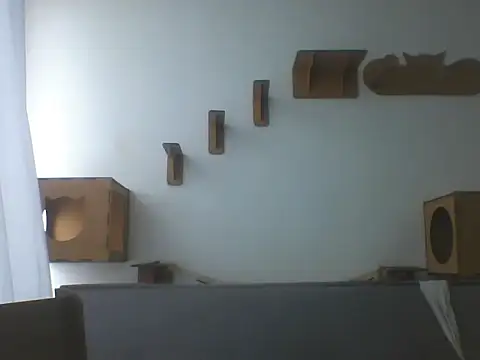 Snapshot of Temp7 chatting on February 21, 2026, 1:23 pm Temp7 online show from February 21, 2026, 1:23 pm