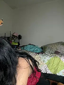 Evaa 11 online show from February 20, 2026, 6:26 am