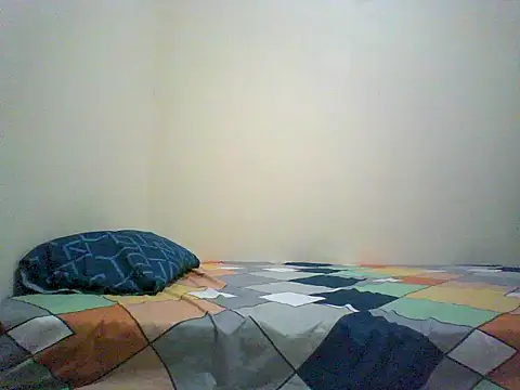 Snapshot of VERTSS2 chatting on November 28, 2025, 10:51 am VERTSS2 online show from November 28, 2025, 10:51 am