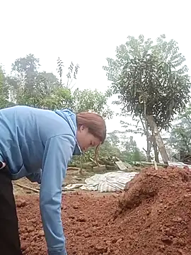 nangmo online show from March 12, 2026, 7:47 am