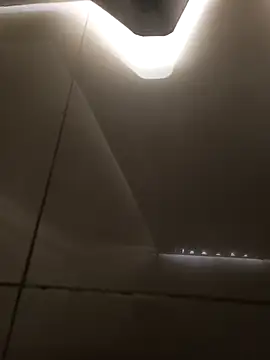 Vanhohenhein online show from November 23, 2025, 3:01 pm