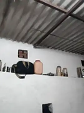 Babita Gori online show from March 13, 2026, 3:07 pm