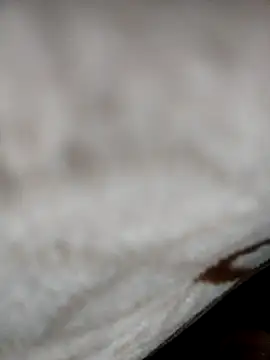 jiniya6789 online show from January 5, 2026, 6:11 pm