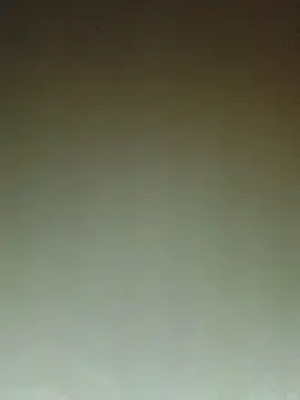 Snapshot of ArgentinaShani chatting on February 11, 2026, 3:00 am ArgentinaShani online show from February 11, 2026, 3:00 am