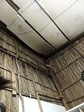 Lin-kute98 online show from February 4, 2026, 1:06 pm