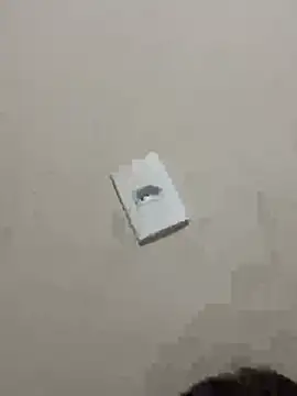 PartiedOmelet online show from January 9, 2026, 1:14 pm