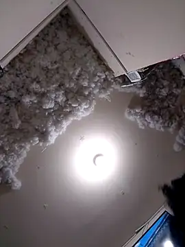 Snapshot of 4ikoou37 chatting on November 26, 2025, 10:44 pm 4ikoou37 online show from November 26, 2025, 10:44 pm