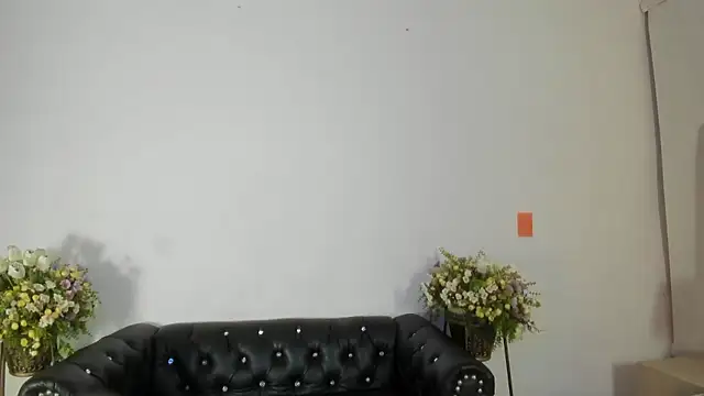 IsaSantoDomingo online show from January 10, 2026, 10:47 pm