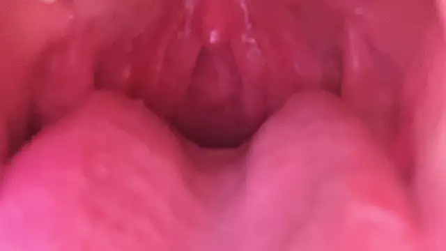 LT-333 online show from January 18, 2026, 7:23 am