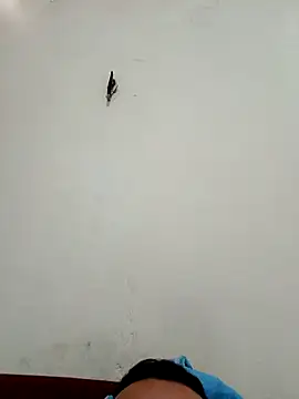 big16cmx online show from November 26, 2025, 5:58 pm