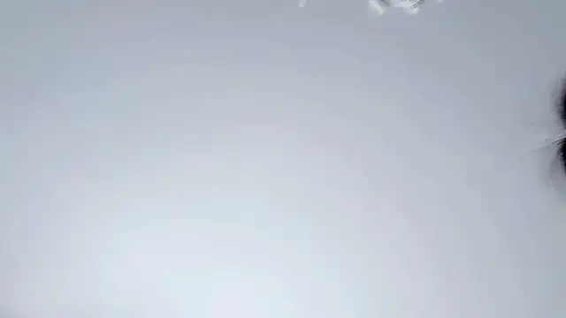 Celestisse- online show from November 29, 2025, 5:54 am