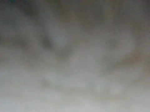 Snapshot of ilove90123 chatting on March 16, 2026, 8:24 pm ilove90123 online show from March 16, 2026, 8:24 pm