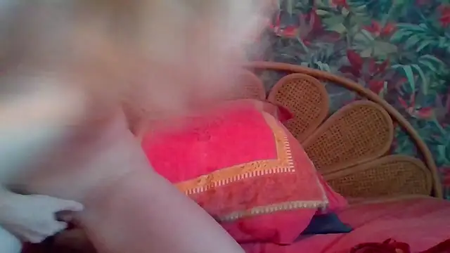 Snapshot of Clelia33 chatting on February 7, 2026, 1:48 pm Clelia33 online show from February 7, 2026, 1:48 pm