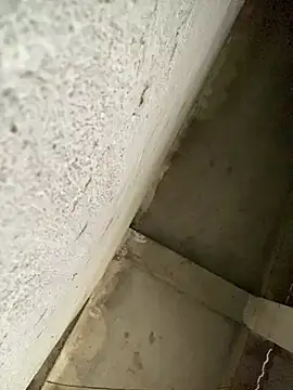 Lilik2 online show from January 15, 2026, 8:08 am