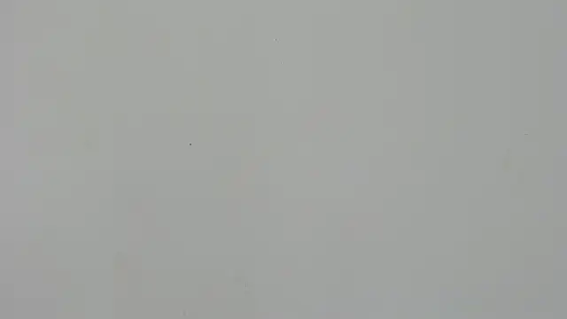 Snapshot of Ladymadinght chatting on February 4, 2026, 2:01 pm Ladymadinght online show from February 4, 2026, 2:01 pm