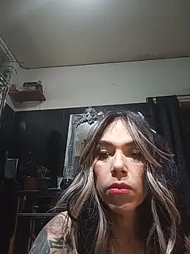 TransVenezuela1 online show from June 4, 2026, 4:13 pm