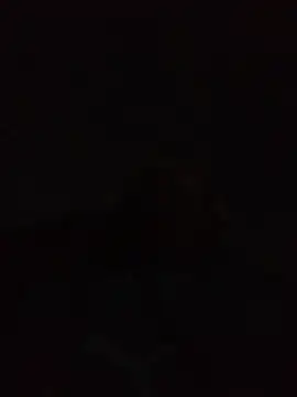 Andreskelly online show from April 22, 2026, 12:35 am