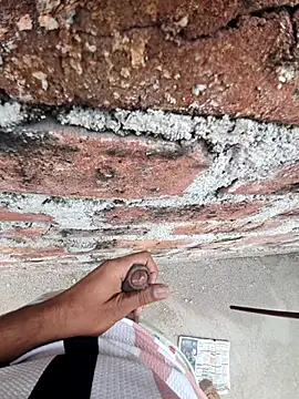 Snapshot of SHAKIVVVV chatting on December 18, 2025, 9:48 am SHAKIVVVV online show from December 18, 2025, 9:48 am