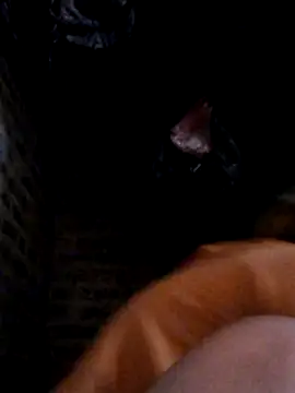 yana-zz online show from March 28, 2026, 1:38 am