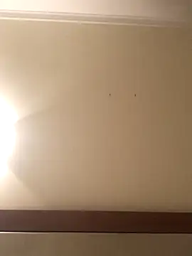 Palinchik online show from January 7, 2026, 9:39 pm