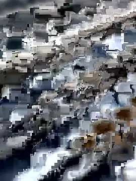 Amaira 69 online show from April 12, 2026, 12:21 pm