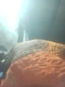 Snapshot of Pinki_rajak chatting on January 11, 2026, 7:08 pm Pinki rajak online show from January 11, 2026, 7:08 pm