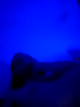 Snapshot of vladopen chatting on January 7, 2026, 5:21 am vladopen online show from January 7, 2026, 5:21 am