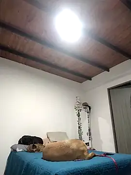 Perfect match19 online show from December 22, 2025, 11:24 pm