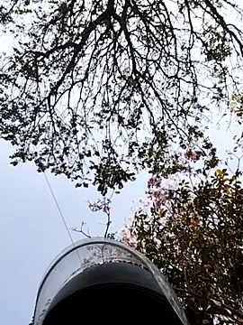 bnglrboy0886 online show from March 7, 2026, 10:01 am