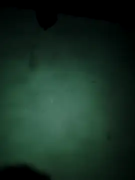 vishalk12346 online show from January 13, 2026, 6:02 pm