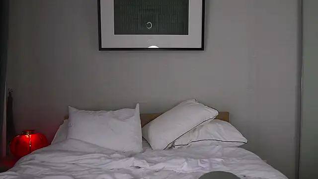 Snapshot of bonjour_nihao_hello chatting on February 17, 2026, 3:47 am bonjour nihao hello online show from February 17, 2026, 3:47 am