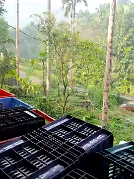 ancyauhuss online show from December 22, 2025, 3:14 am