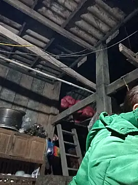 dakota-kis online show from February 1, 2026, 11:53 am