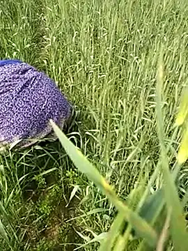 Snapshot of hornycouple20000 chatting on February 1, 2026, 6:45 am hornycouple20000 online show from February 1, 2026, 6:45 am