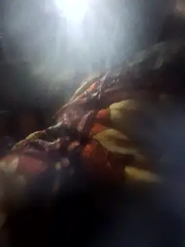 Couples9090 online show from January 10, 2026, 3:58 pm