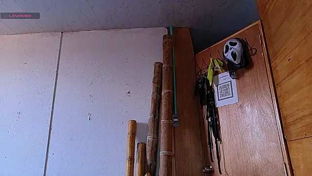 Snapshot of Alice_randyy chatting on February 12, 2026, 1:17 pm Alice randyy online show from February 12, 2026, 1:17 pm