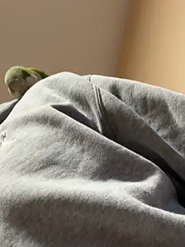 Snapshot of Andres56ojh chatting on February 14, 2026, 11:01 pm Andres56ojh online show from February 14, 2026, 11:01 pm