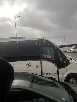 Paulopess online show from January 16, 2026, 3:49 pm