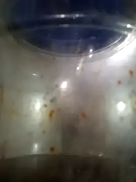 him220 online show from March 12, 2026, 2:07 am