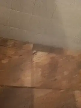 Paperdonny online show from January 6, 2026, 9:35 am