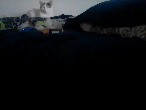 Snapshot of Silencio26 chatting on February 24, 2026, 9:24 pm Silencio26 online show from February 24, 2026, 9:24 pm