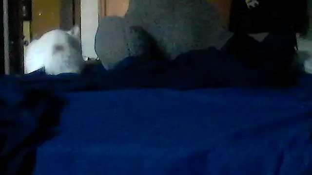 Snapshot of Silencio26 chatting on July 6, 2026, 3:03 pm Silencio26 online show from July 6, 2026, 3:03 pm