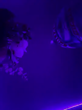 inconito-sex online show from January 10, 2026, 6:37 am